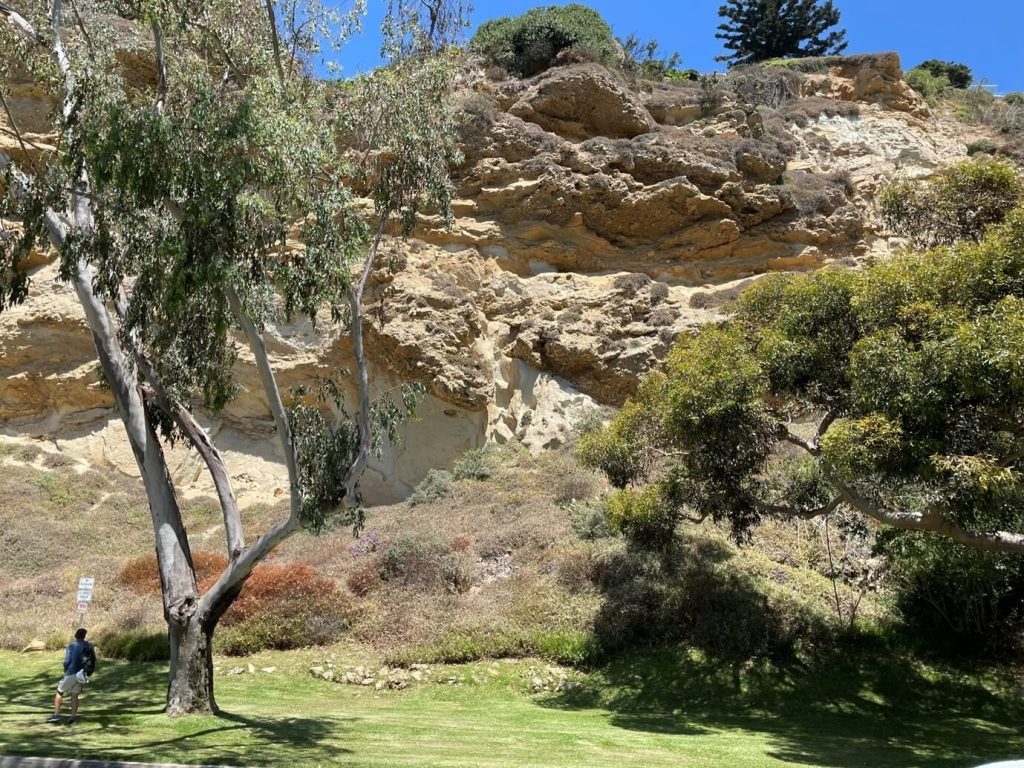 Slope-channel sandstones at Dana Point Harbor