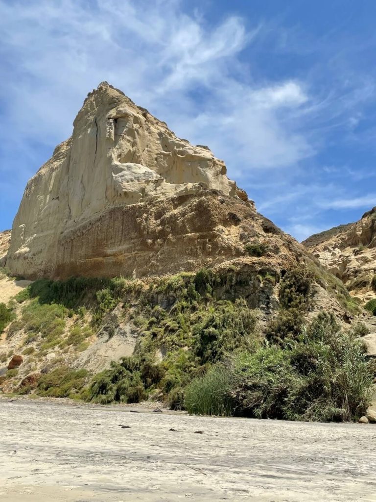 Submarine canyon conglomerates and sandstones at Black’s Beach
